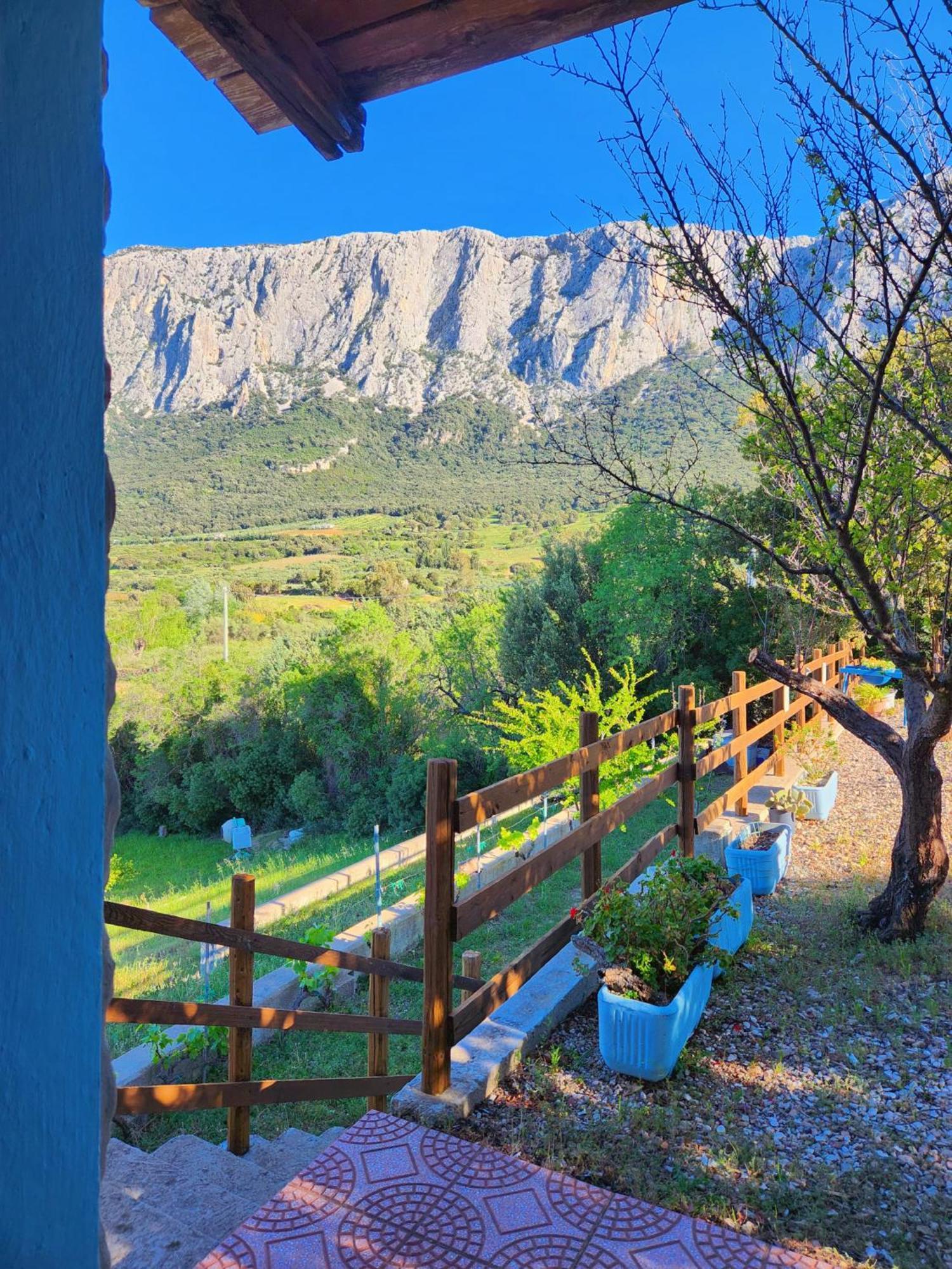 Panoramic House Villa Oliena Exterior foto